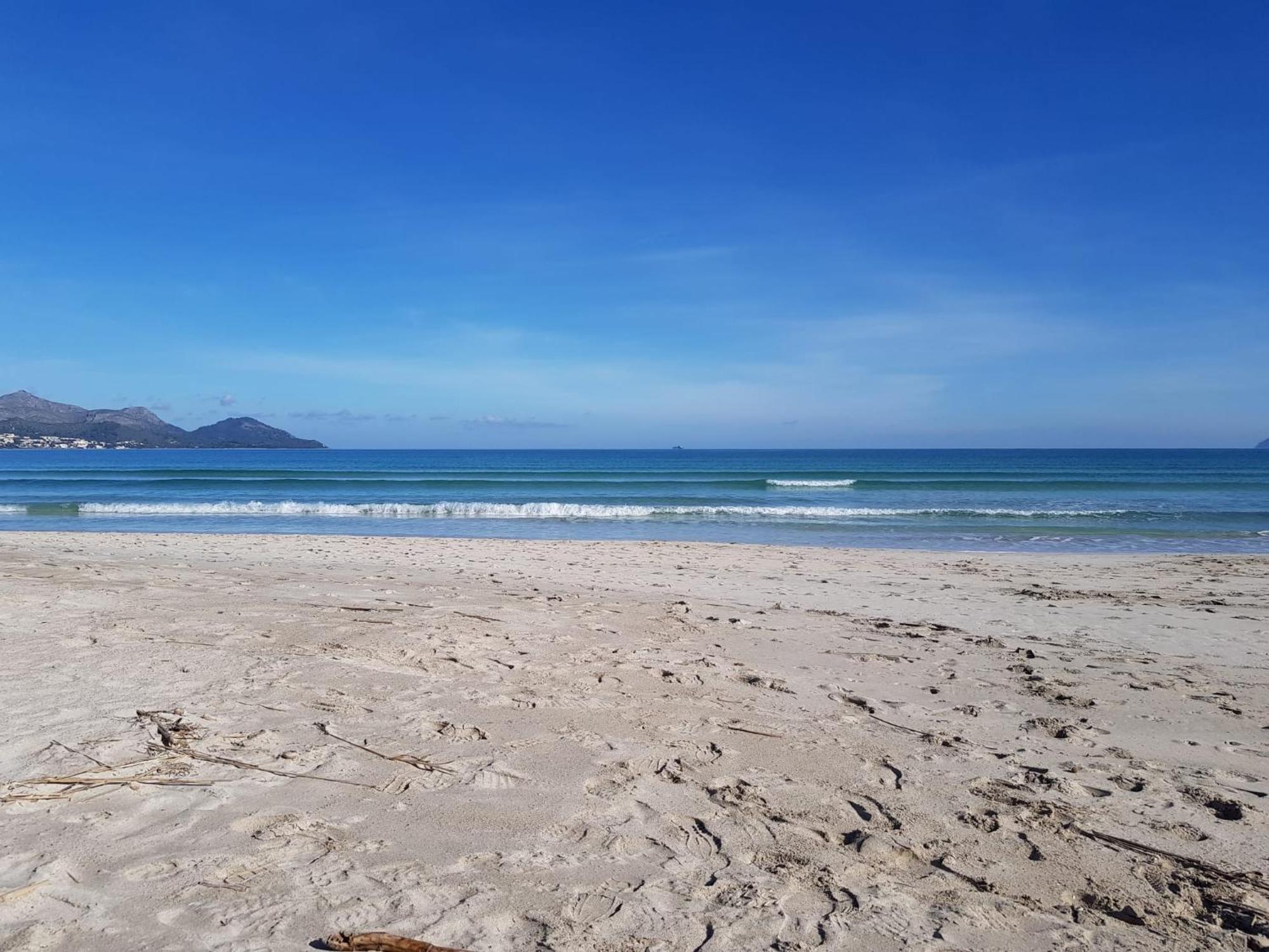 Ideal Property Mallorca - Primavera Port de Alcudia  Zewnętrze zdjęcie